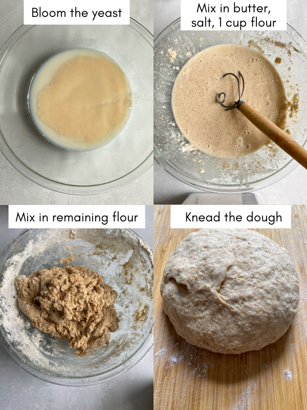 Four pictures of homemade bread in different stages of the process.