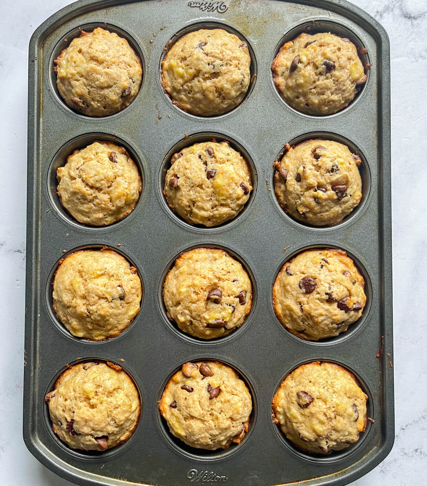 a muffin tin with 12 freshly baked banaan chocolate chip muffins on a marble background.